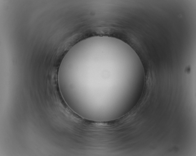 X0000113360233200909221207