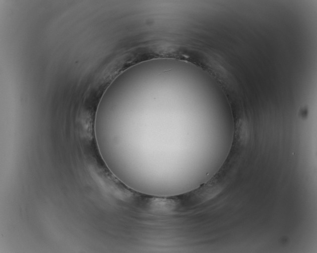 X0000113360234200909221207