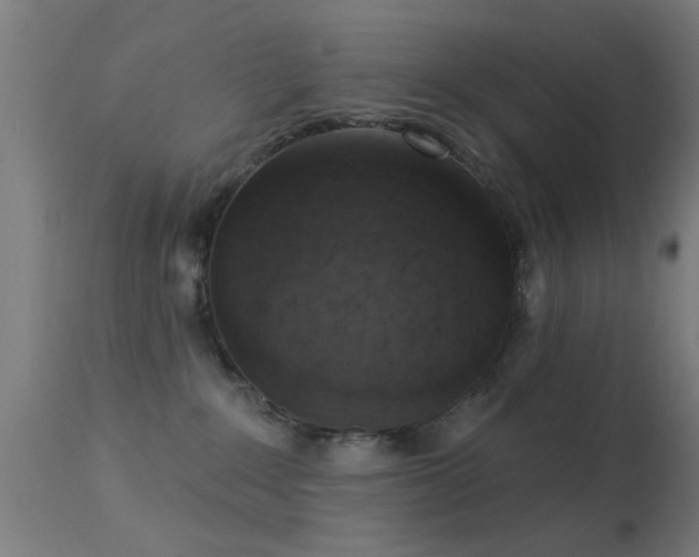 X0000113360235200909221207