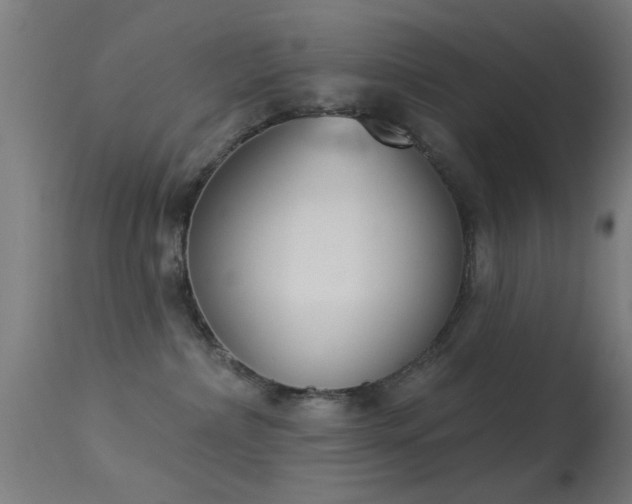 X0000113360236200909221207