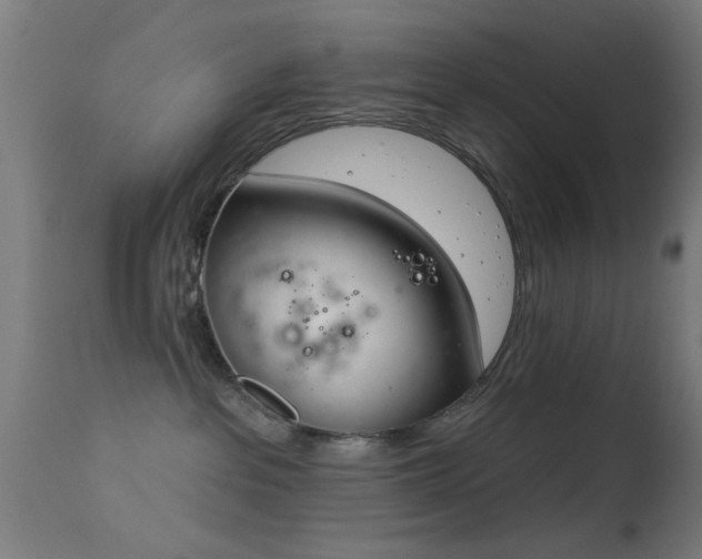 X0000113360237200909221207