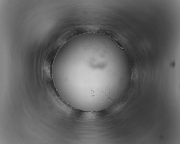 X0000113360238200909221207