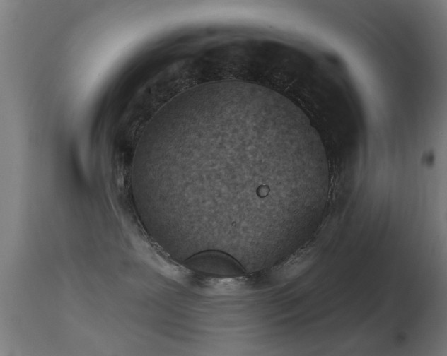 X0000113360239200909221206