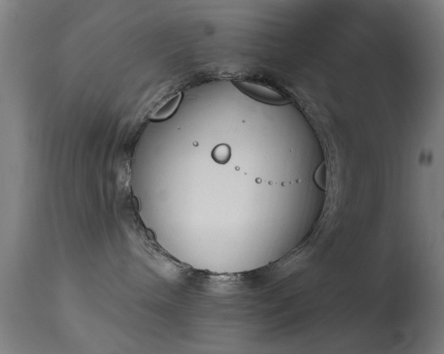 X0000113360240200909221206
