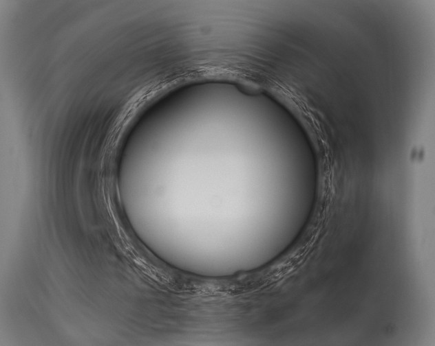 X0000113360241200909221206