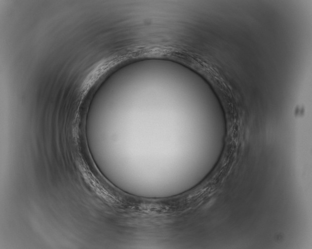 X0000113360242200909221206