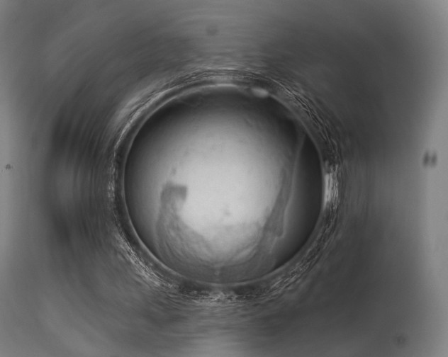 X0000113360243200909221206