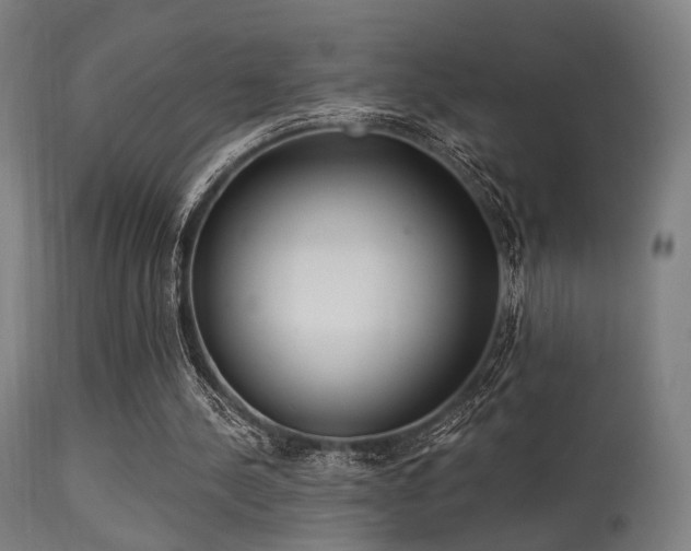 X0000113360244200909221206