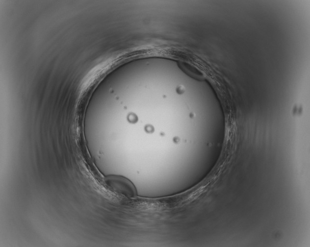 X0000113360245200909221206