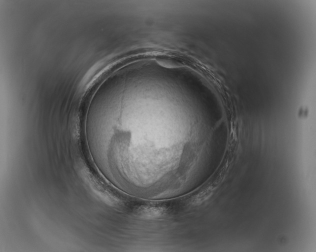 X0000113360247200909221206