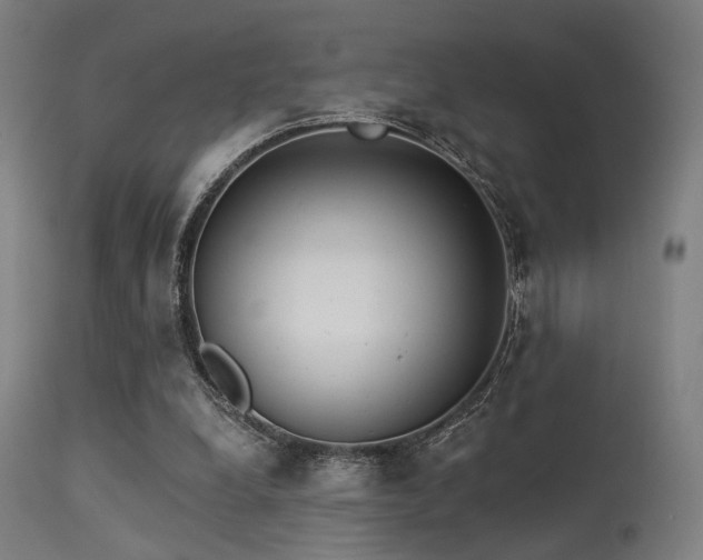 X0000113360248200909221206