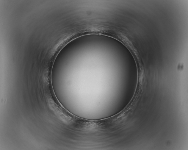 X0000113360249200909221206