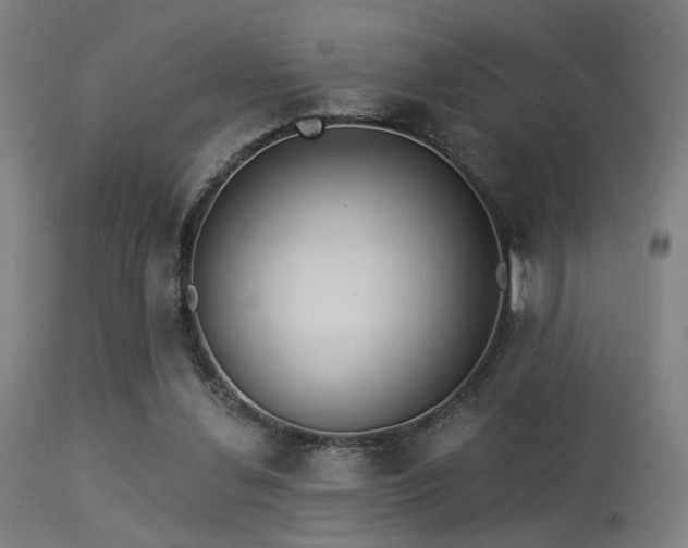 X0000113360252200909221206
