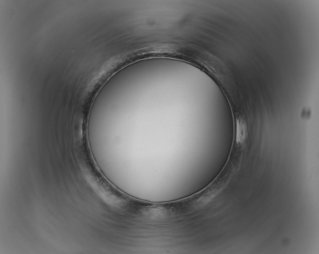 X0000113360253200909221206
