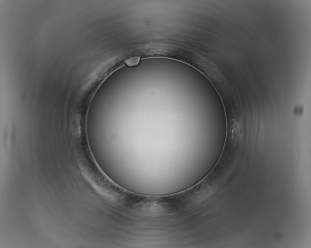 X0000113360254200909221206