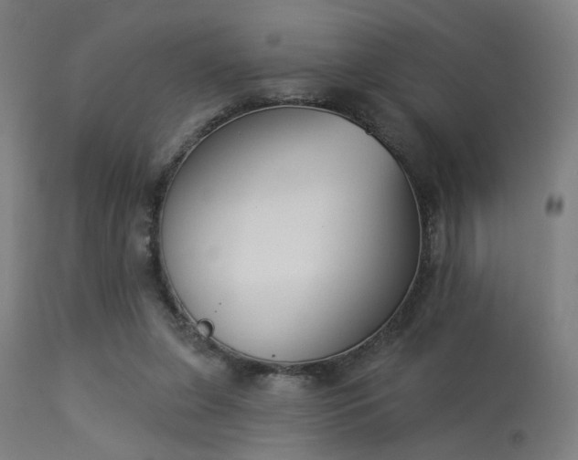 X0000113360255200909221206