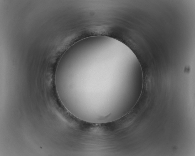 X0000113360259200909221206