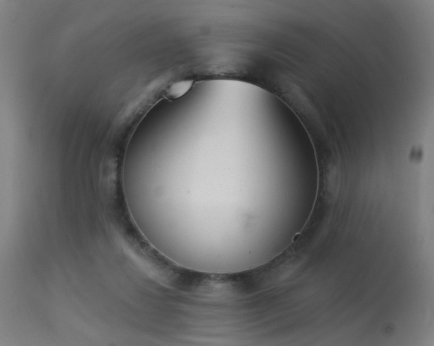 X0000113360260200909221206