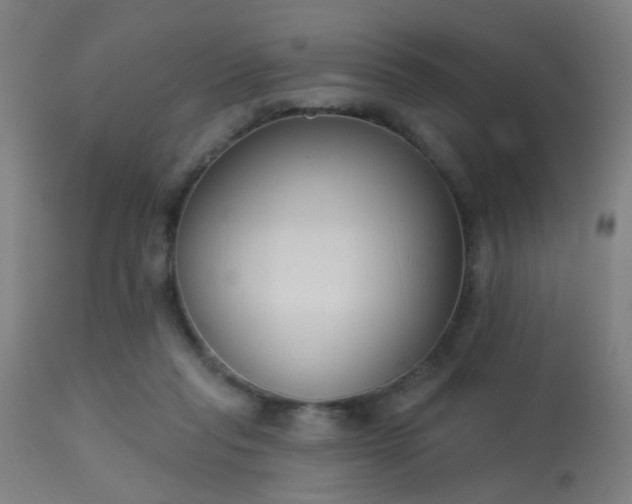 X0000113360261200909221206