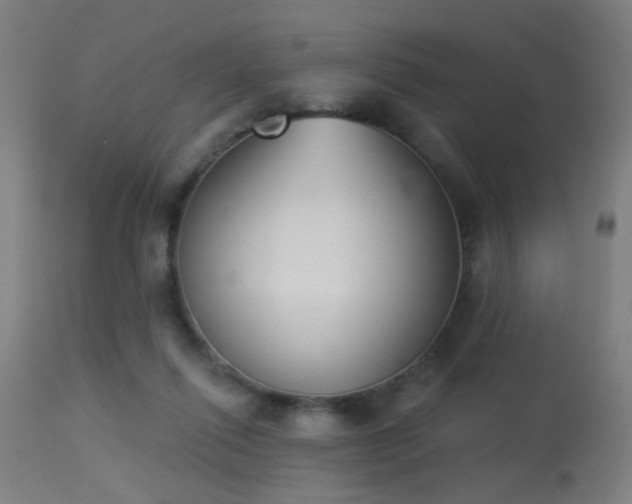 X0000113360262200909221206