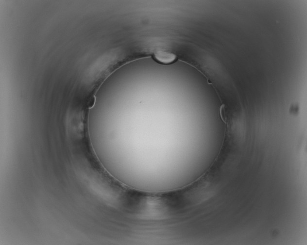 X0000113360264200909221206