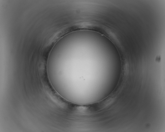 X0000113360265200909221206