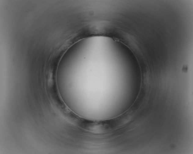 X0000113360267200909221206