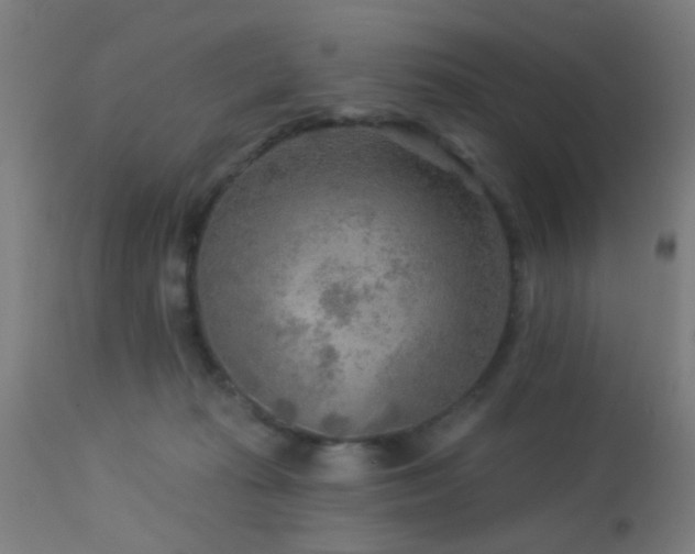 X0000113360269200909221206