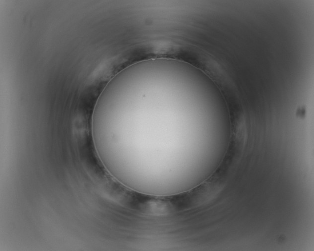 X0000113360272200909221206