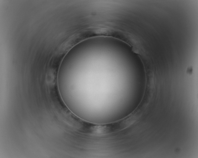 X0000113360273200909221206