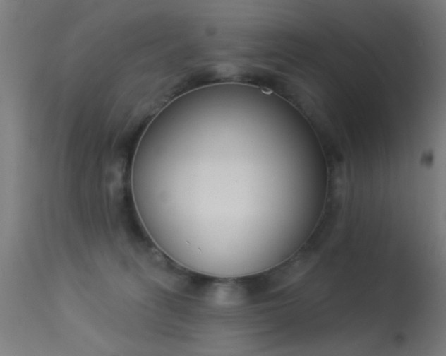 X0000113360275200909221206