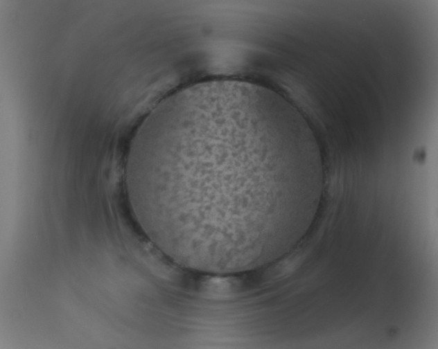 X0000113360277200909221206