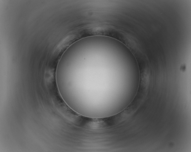 X0000113360278200909221206