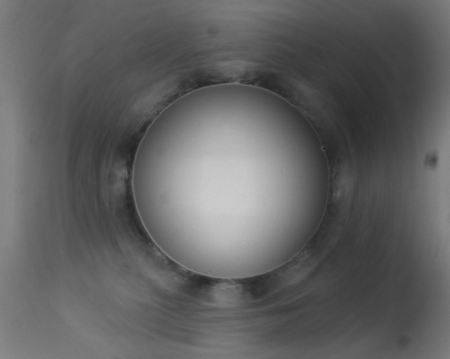 X0000113360279200909221206