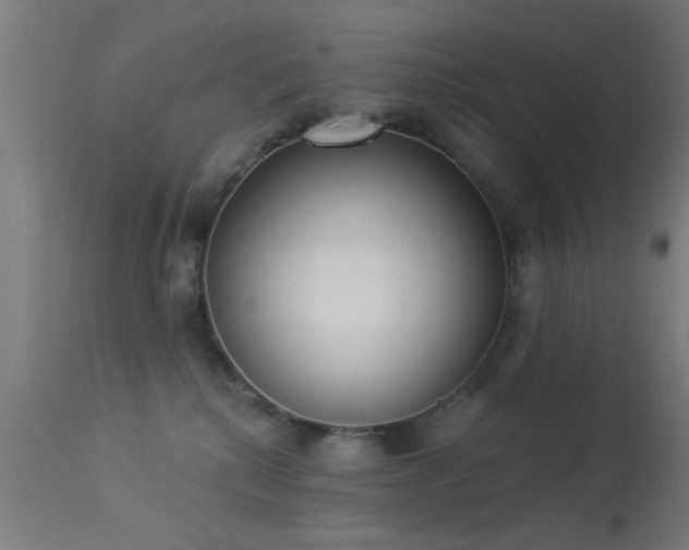 X0000113360280200909221206