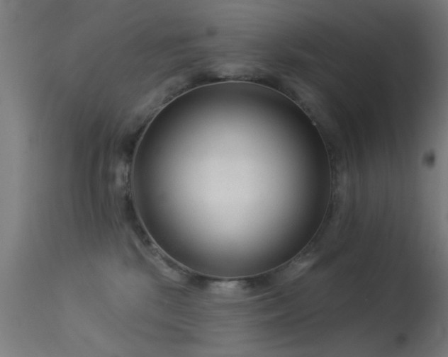X0000113360281200909221206
