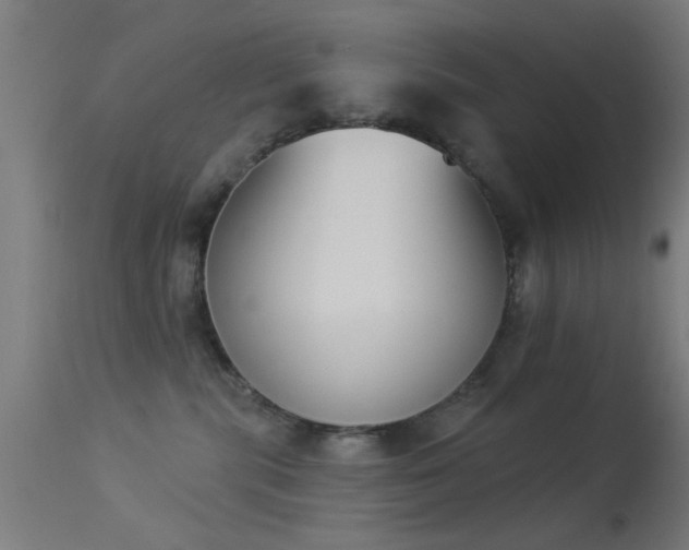 X0000113360283200909221206