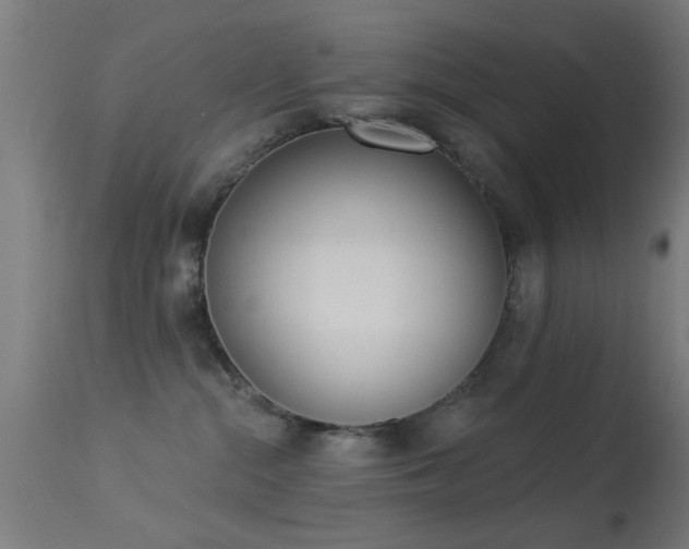 X0000113360284200909221206