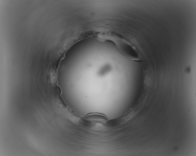 X0000113360285200909221206
