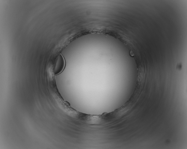 X0000113360287200909221206