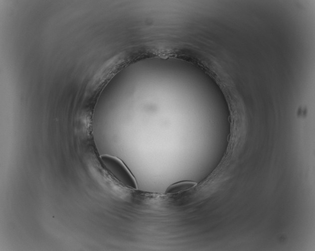 X0000113360288200909221206