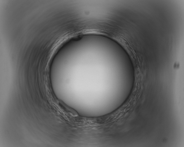 X0000113360289200909221206