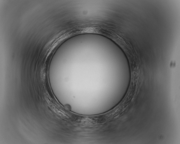 X0000113360290200909221206