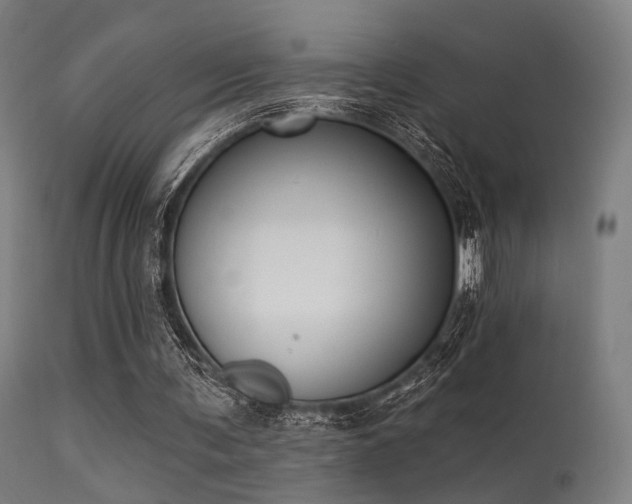 X0000113360291200909221206