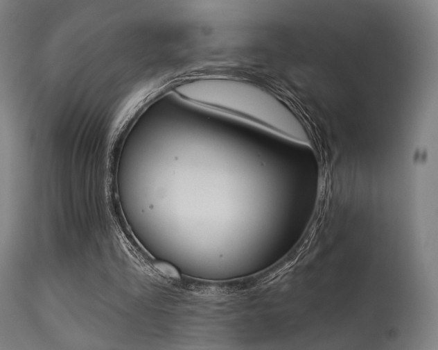 X0000113360293200909221206