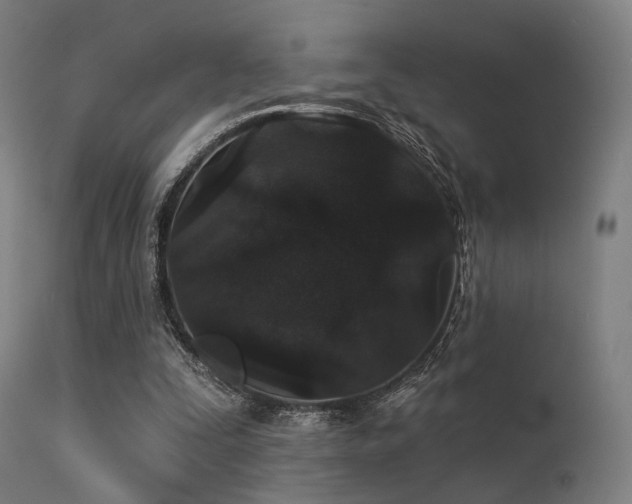 X0000113360295200909221206