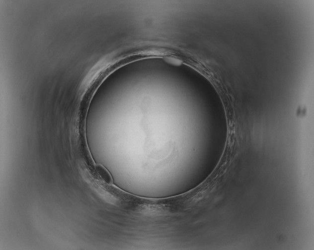 X0000113360296200909221206