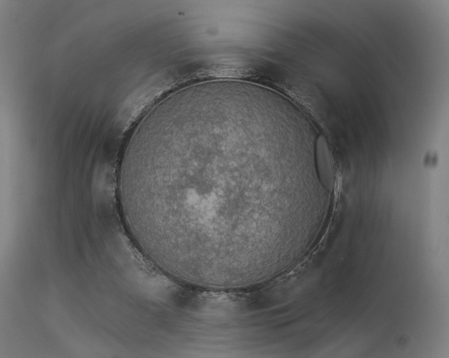 X0000113360297200909221206