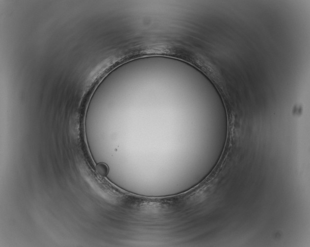 X0000113360298200909221206