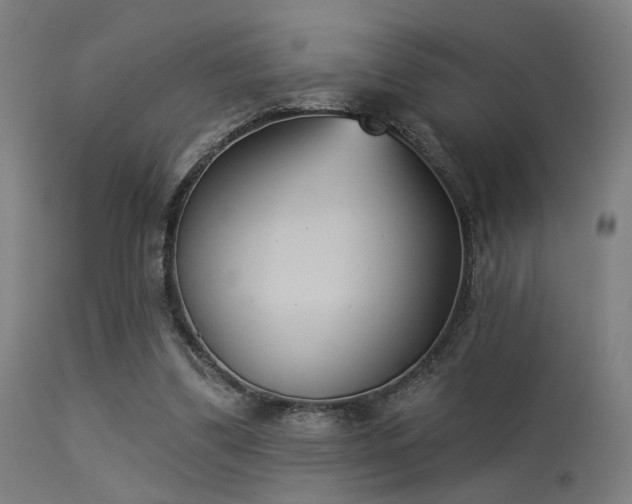 X0000113360299200909221206